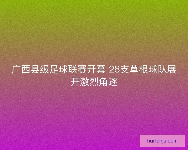 广西县级足球联赛开幕 28支草根球队展开激烈角逐