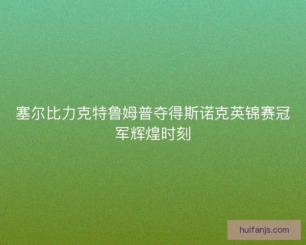 塞尔比力克特鲁姆普夺得斯诺克英锦赛冠军辉煌时刻 塞尔比力克特鲁姆普夺得斯诺克英锦赛冠军辉煌时刻